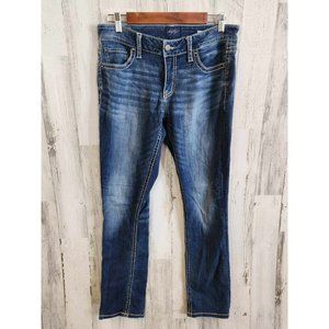 Daytrip Womens Virgo Straight Leg Jeans Size 29R Medium Wash Denim Casual